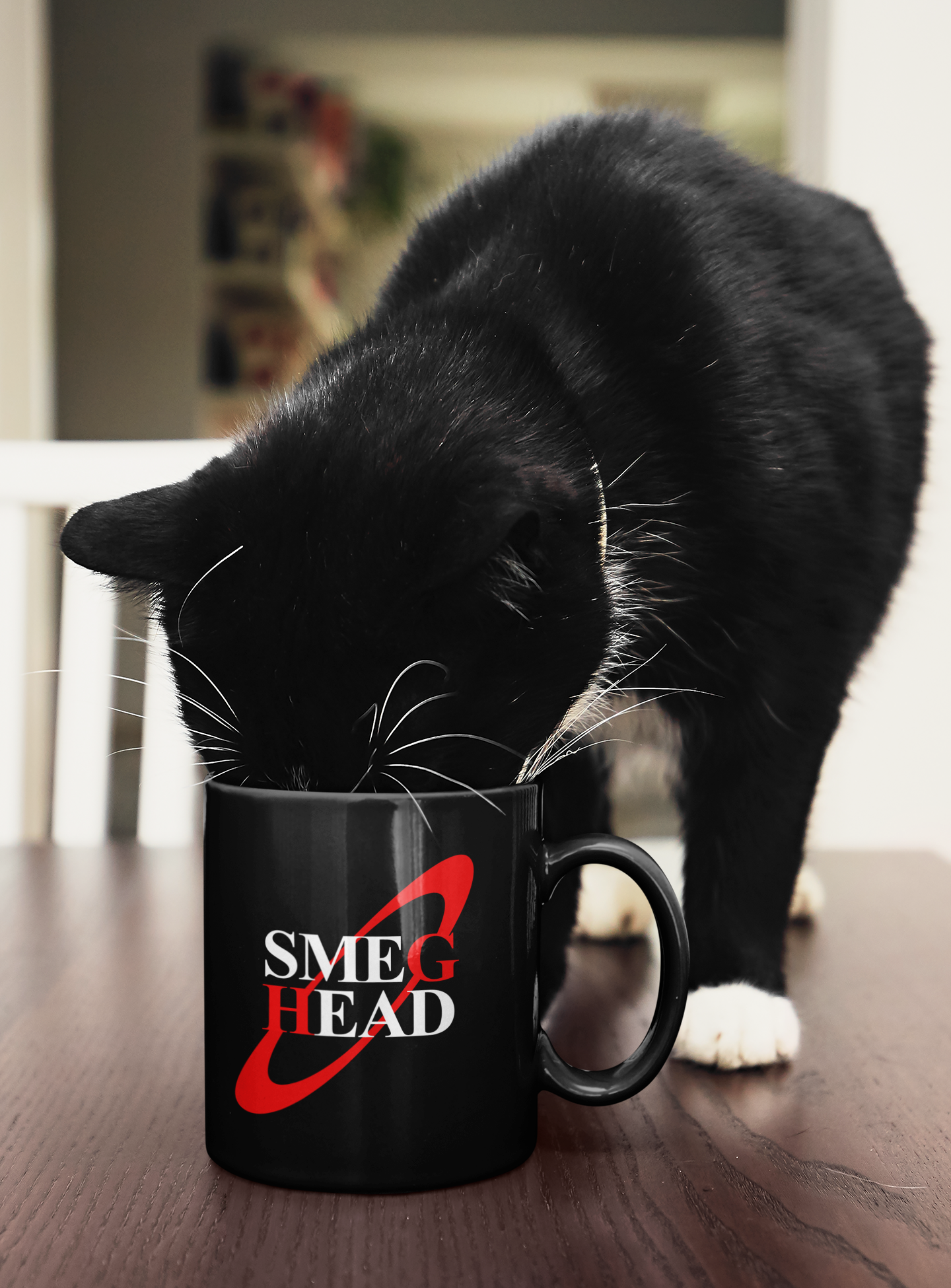 Smeg Head Mug - Red Dwarf Insult Gift