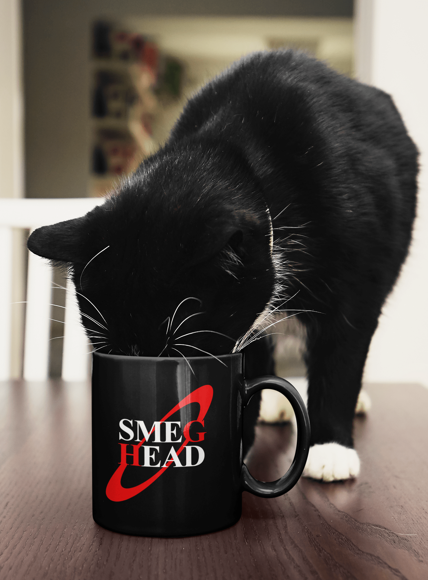 Smeg Head Mug - Red Dwarf Insult Gift