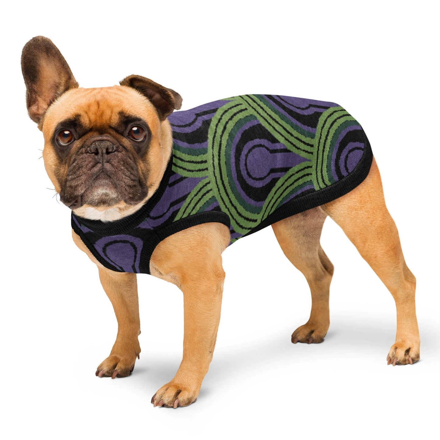 Dog wearing an Overlook Hotel Room 237 Wallpaper pattern knitted jumper on a white background