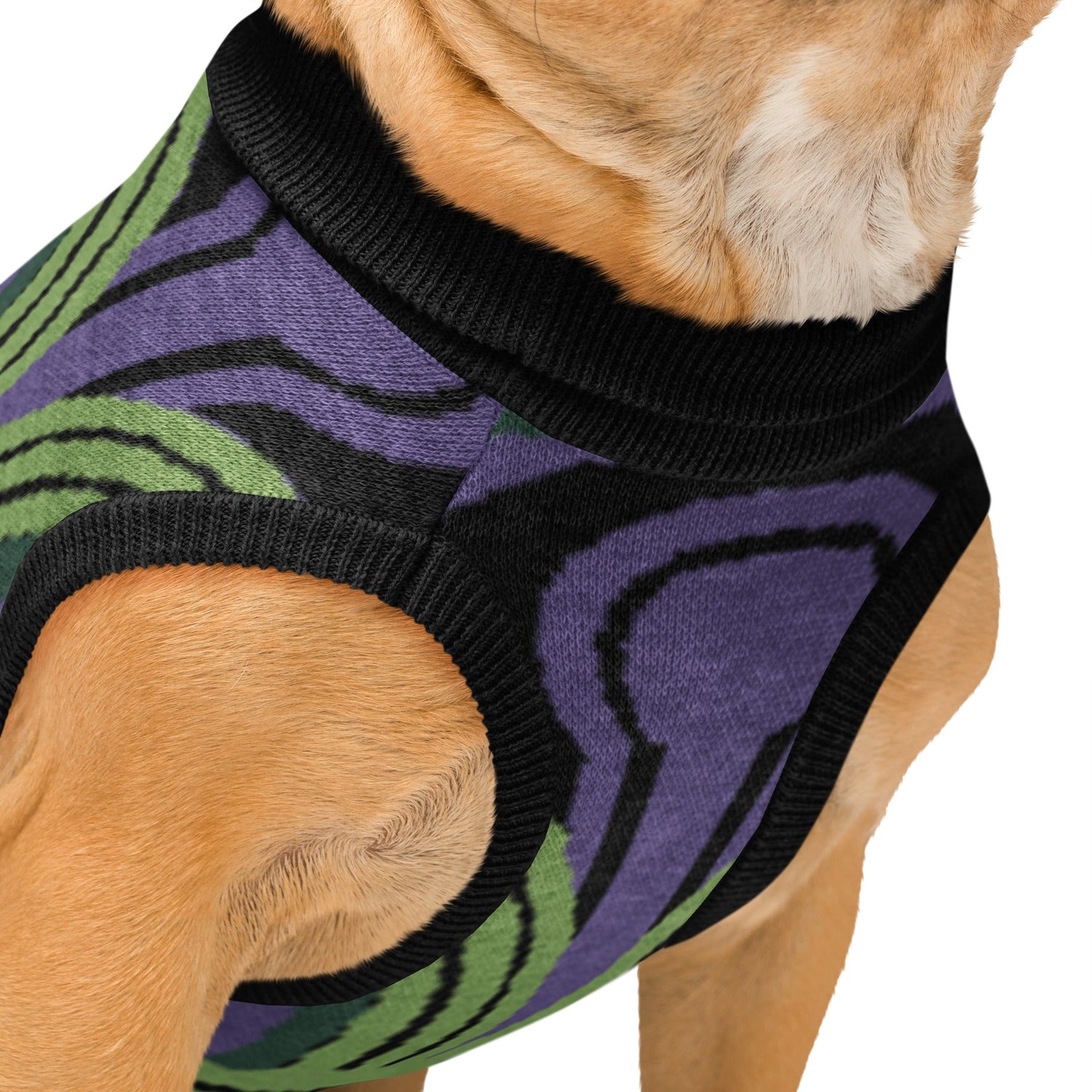 Close up details of dog wearing an Overlook Hotel Room 237 Wallpaper pattern knitted jumper on a white background