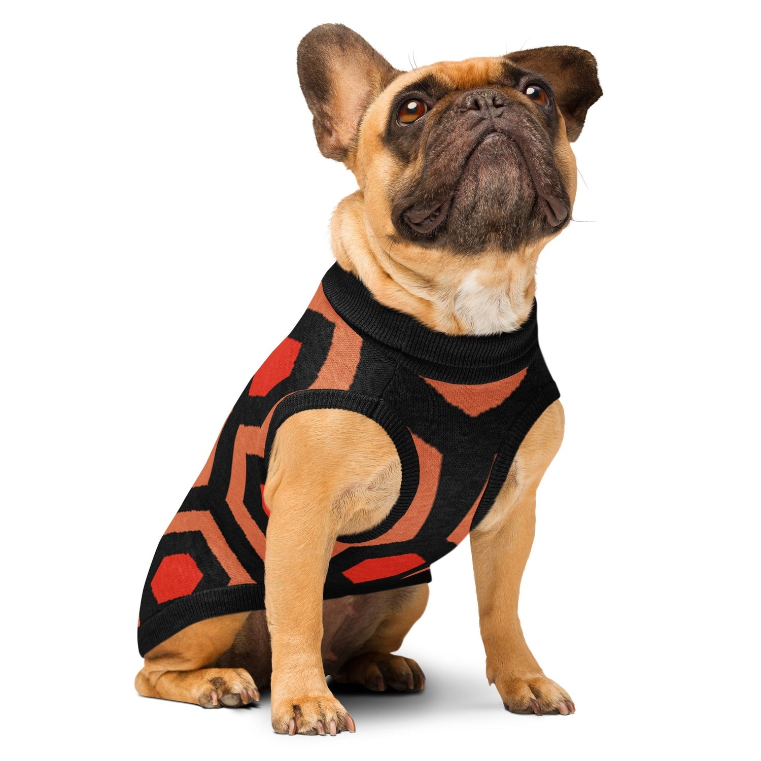 Dog wearing a Overlook Hotel carpet geometric patterned coat on a white background
