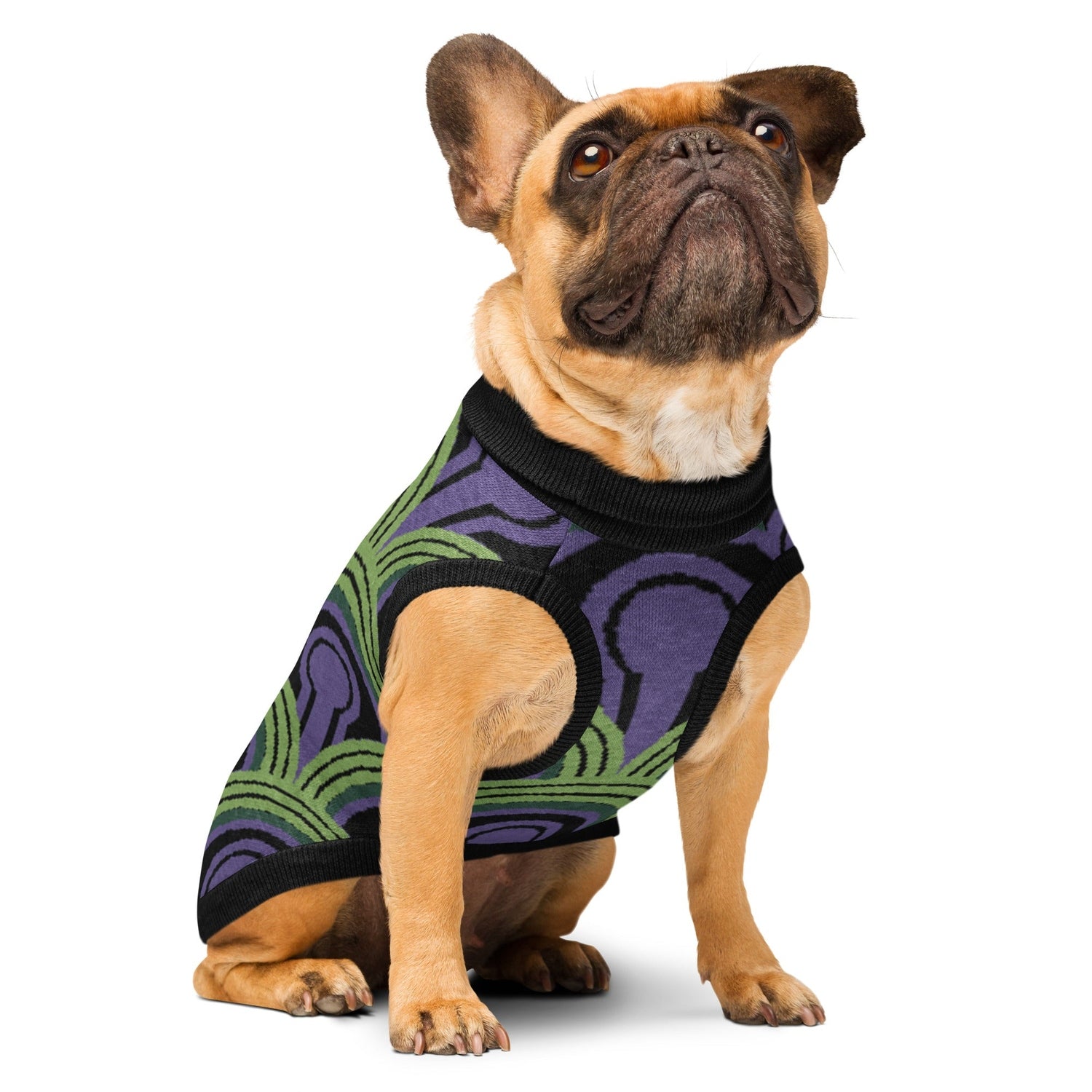 Dog wearing an Overlook Hotel Room 237 Wallpaper pattern knitted jumper on a white background